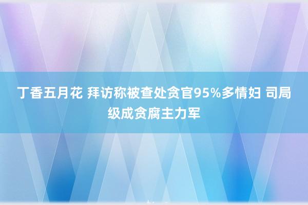 丁香五月花 拜访称被查处贪官95%多情妇 司局级成贪腐主力军