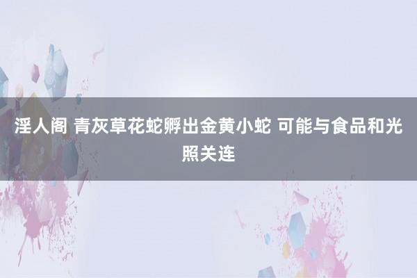 淫人阁 青灰草花蛇孵出金黄小蛇 可能与食品和光照关连